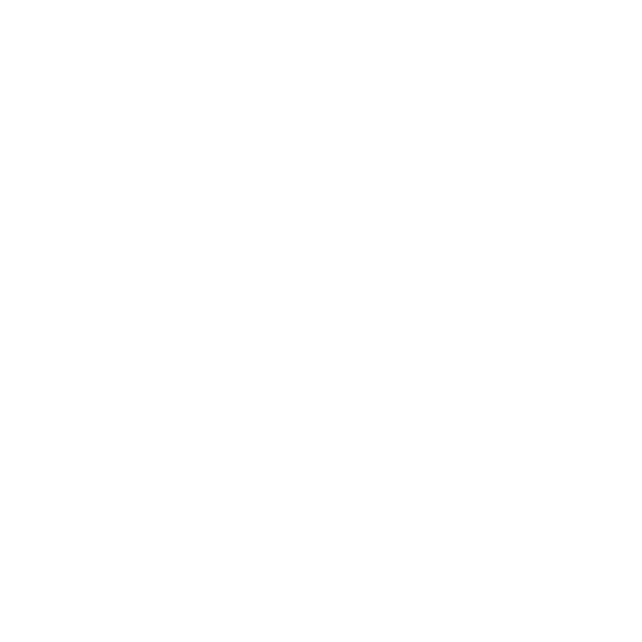 Die Enthusiasten