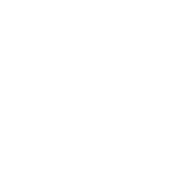 Die Enthusiasten